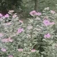 ？？？