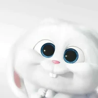 cute author/Ashrafi