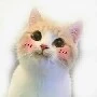 แอดเอง