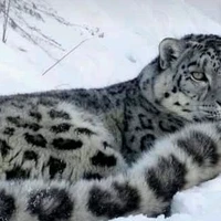 นที