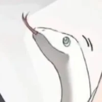 ไคโร