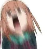 Y/N