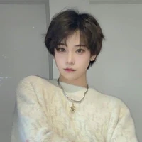 ดาวเหนือ