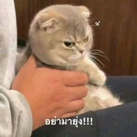 เเอดเคือง