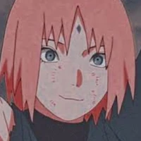 🌸 Sakura 💢