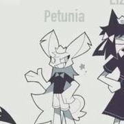 Petunia