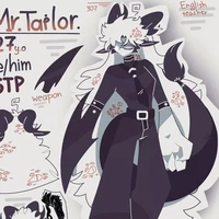 Mister.Tailor