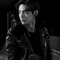 V ( den leader )