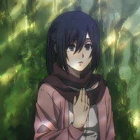 Mikasa