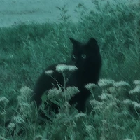 ♡︎