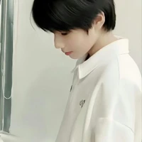 Wang Lujie