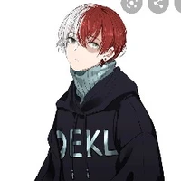 Todoroki