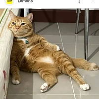 ？？？