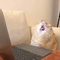 เเงๆเเอดจะไม่ทน😾