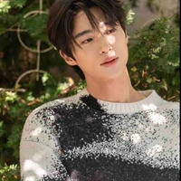 คิม {เพื่อนพระเอก}