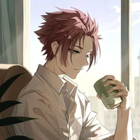 sae abang y/n