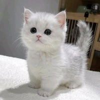 nala