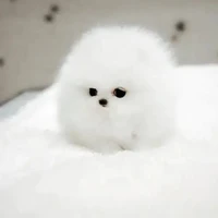 แอดเอง😄