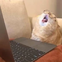 (ขี้เกียจเว้ยยย) ไรท์