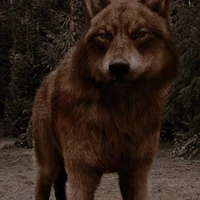 Ruby{Loba do Jacob antes}