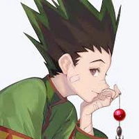 Gon O.P