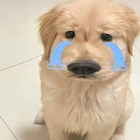 แอดเองน้า