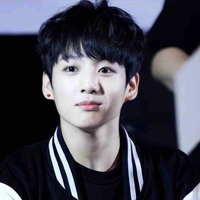 Jeon Jungkook(supreme alpha)