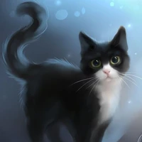 Gatinho
