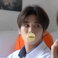 ethereal voice terry