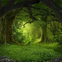 กลุ่มน.อ