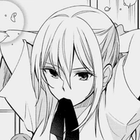 y/n shirokawa