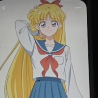 minako(sailor venus)