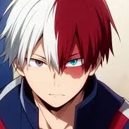 todoriki shoto