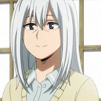 rei todoriki