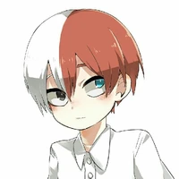 shoto chiquito 
