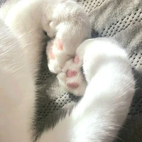 แอดเองคับ