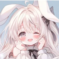 y/n