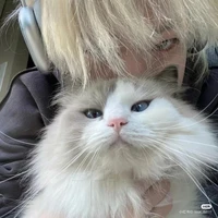 อชิ
