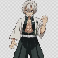 Shinazugawa Sanemi
