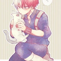 shoto-todoroki
