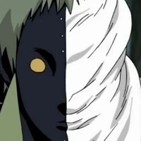 🌱 Zetsu (preto) 🌱