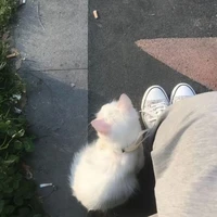 m🎀