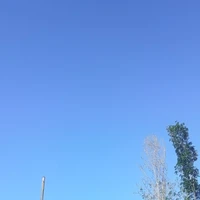 ALL