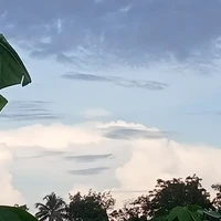 NALAN, RAYHAN, HAIKAL, CAKRA,ROSE,LISA
