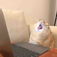 แอดเองค้าบฟู่ว์