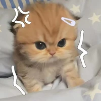 แอดเอง❤️