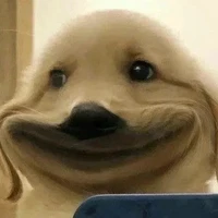 แอดเอง