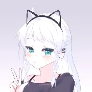 Y/N