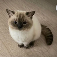แอดเอง