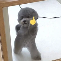 ใครเรียกกูขี้ขอให้พ่อมึงตาย